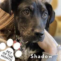 Instagram post from @parcwestborough on May 02, 2025 00:00:00am